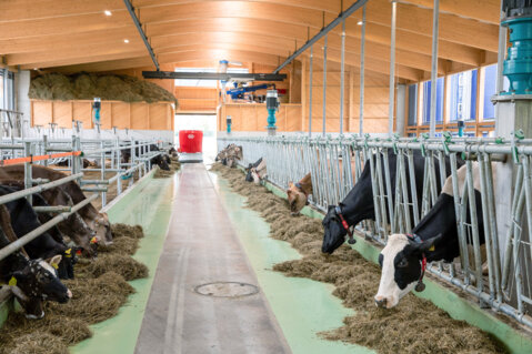 lely fütterung