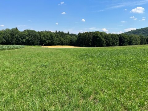 übersaat_kreiselegge_rothenbühler