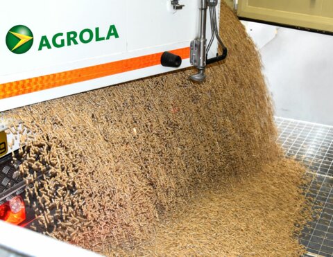 Holz-Pellets