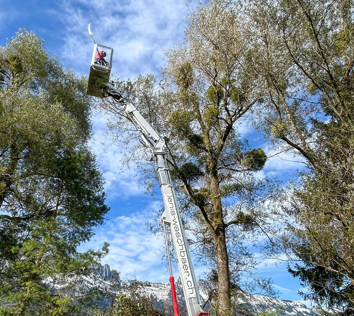 7695640_image_0_56.jpg