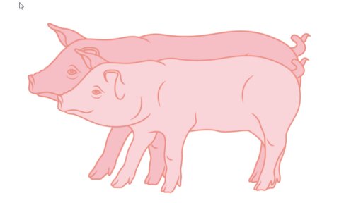 Wirtschaftlichkeit im Schweinestall