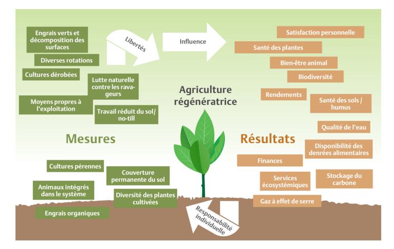 Lagriculture Régénératrice La Solution Idéale 5544