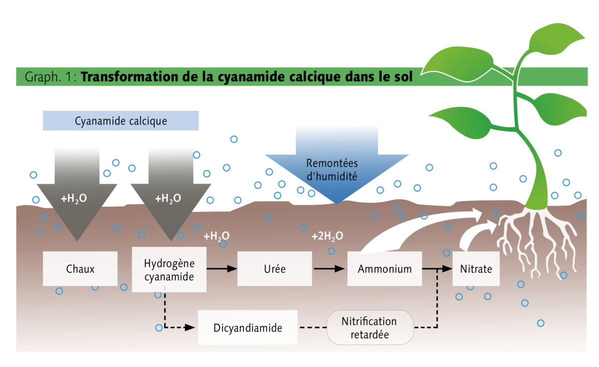 Un Engrais Aux Multiples Actions - Revue UFA