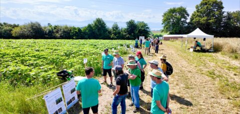 Journées des grandes cultures bio