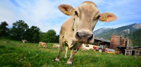 Fachveranstaltung Regionalprodukte