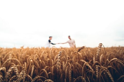 Dossier Remise d'une ferme