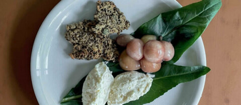 Mousse au fromage et oignons au cassis