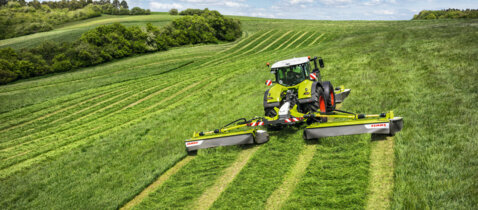 2021-03-03-de-de-cemos-pic-2