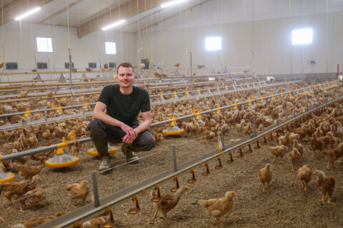 be10_raphael meier_1