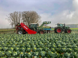 ©ASA-LIFT - MC-1020 DF Cabbage Harvester