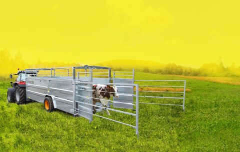 canevas header sans bulle_