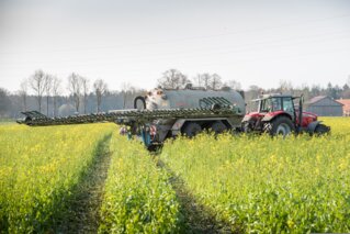 ehrecke-catch-crop-4133942