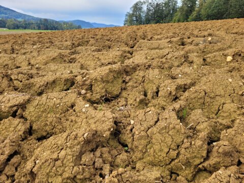 Gepflügter Boden_kek