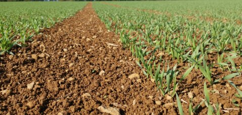 phy_10_2023_staehler